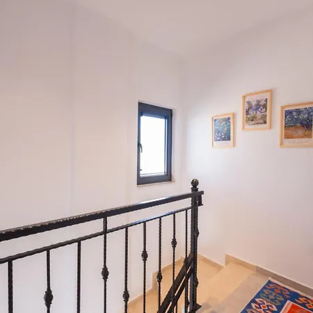 Villa Belenardı