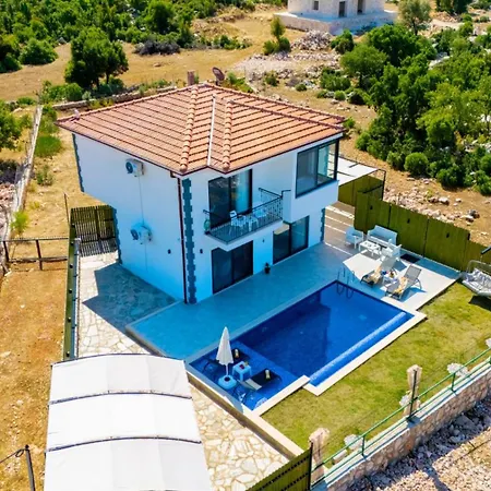 Belenardı